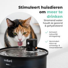 Cellavi Draadloze Drinkfontein RVS met Sensor - Waterfontein voor Kat en Hond met 3 Standen