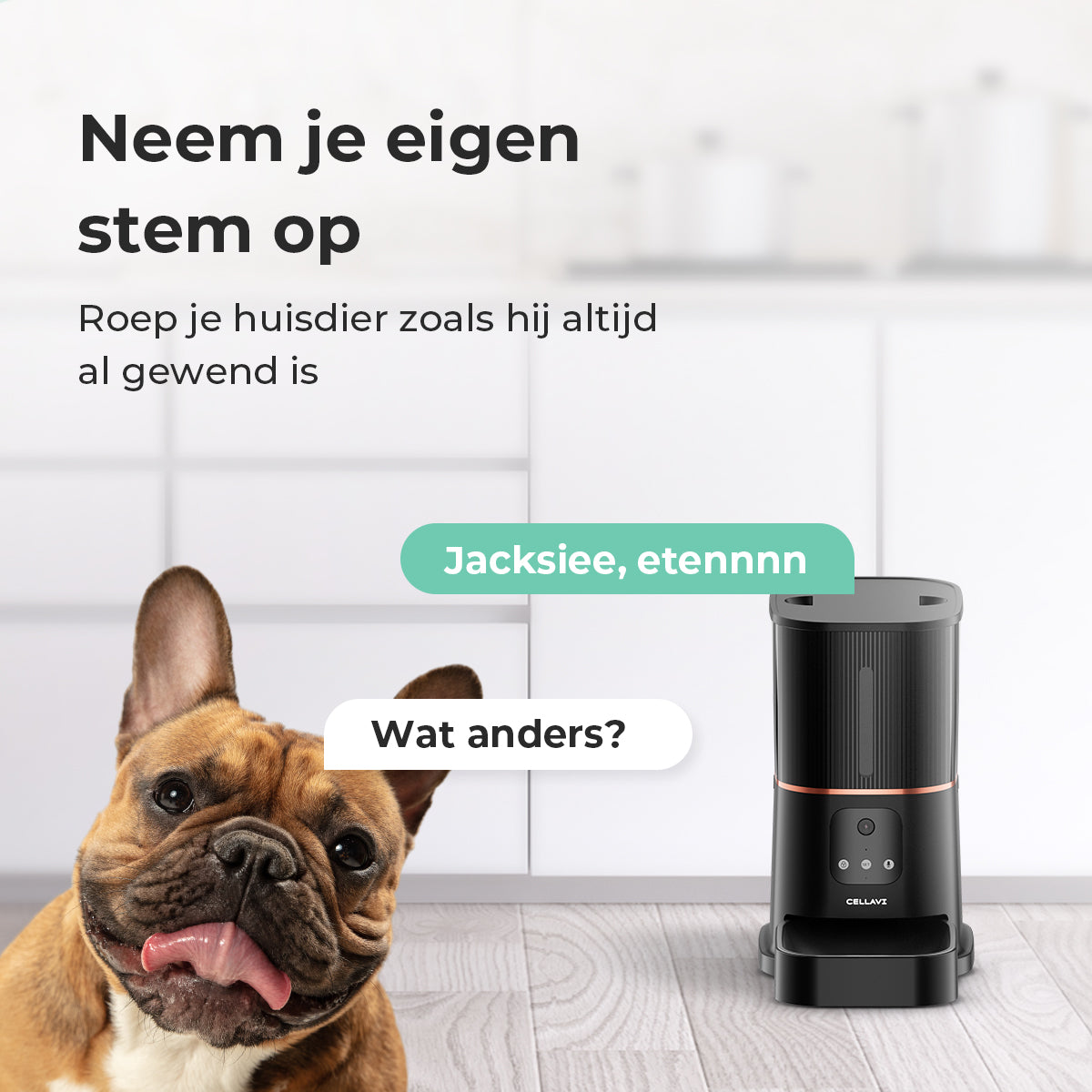 Cellavi Automatische Voerbak met Camera en App