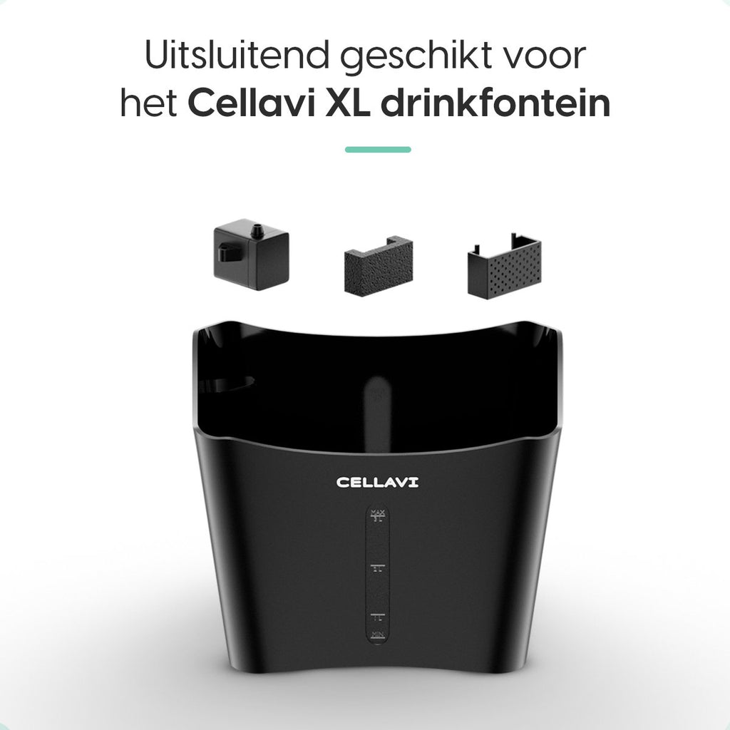 XL