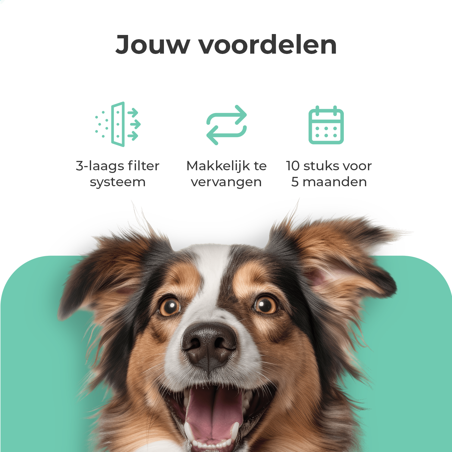 Cellavi Waterfilters Set voor Drinkfontein S2A-X - 10 Filters