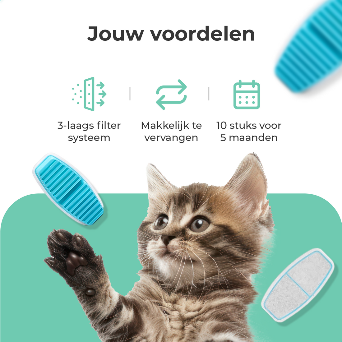 Cellavi Waterfilters Set voor Drinkfontein R2A - 6 Filters en 3 Sponsen