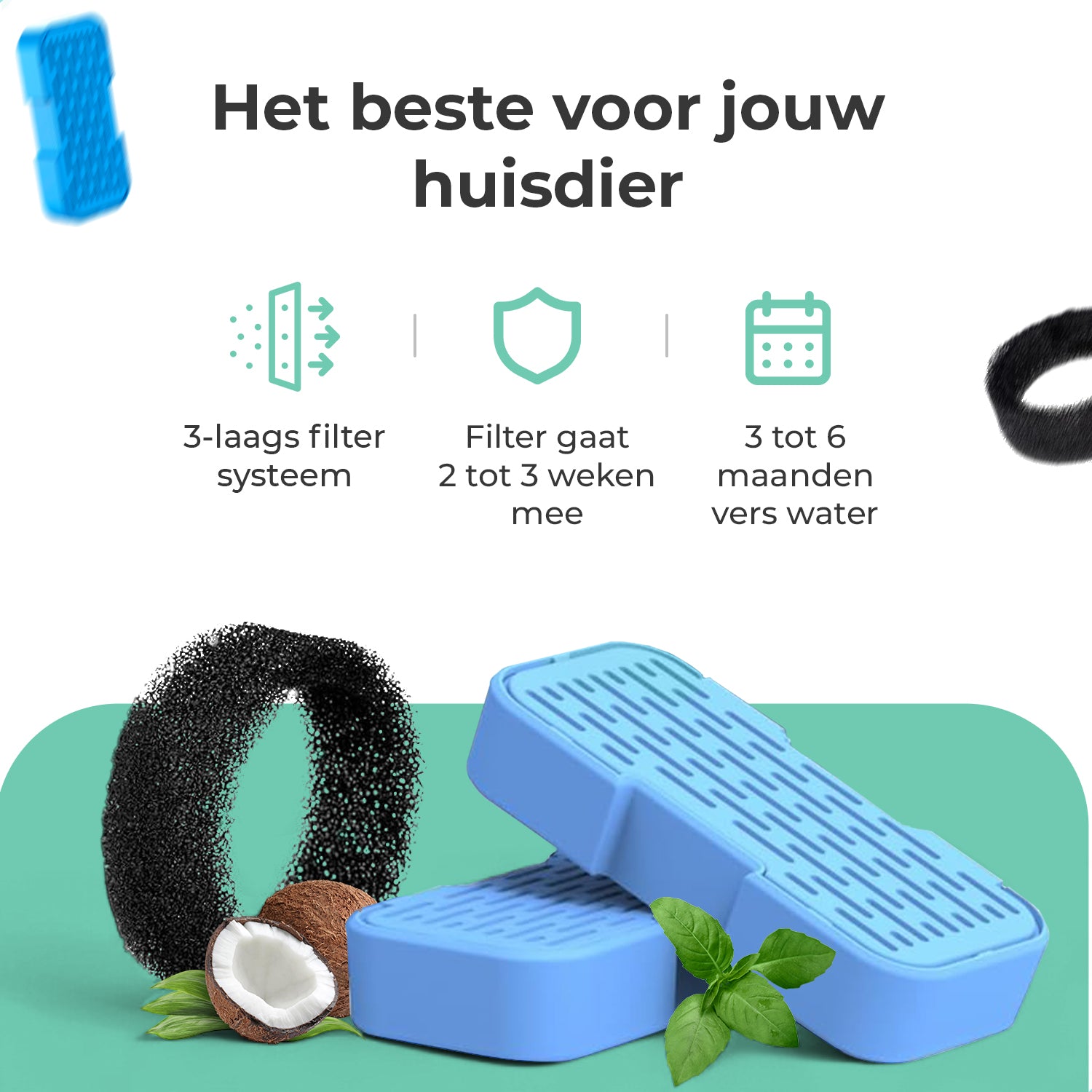 Cellavi Waterfilters Set voor Drinkfontein R1X - 6 Filters en 3 Sponsen