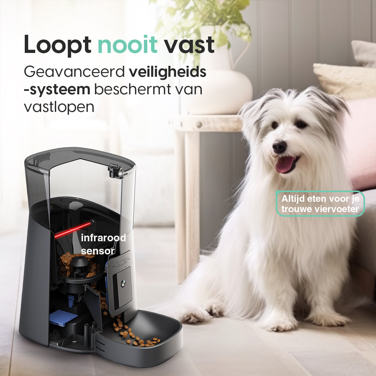 Cellavi Automatische Voerbak met Camera en App