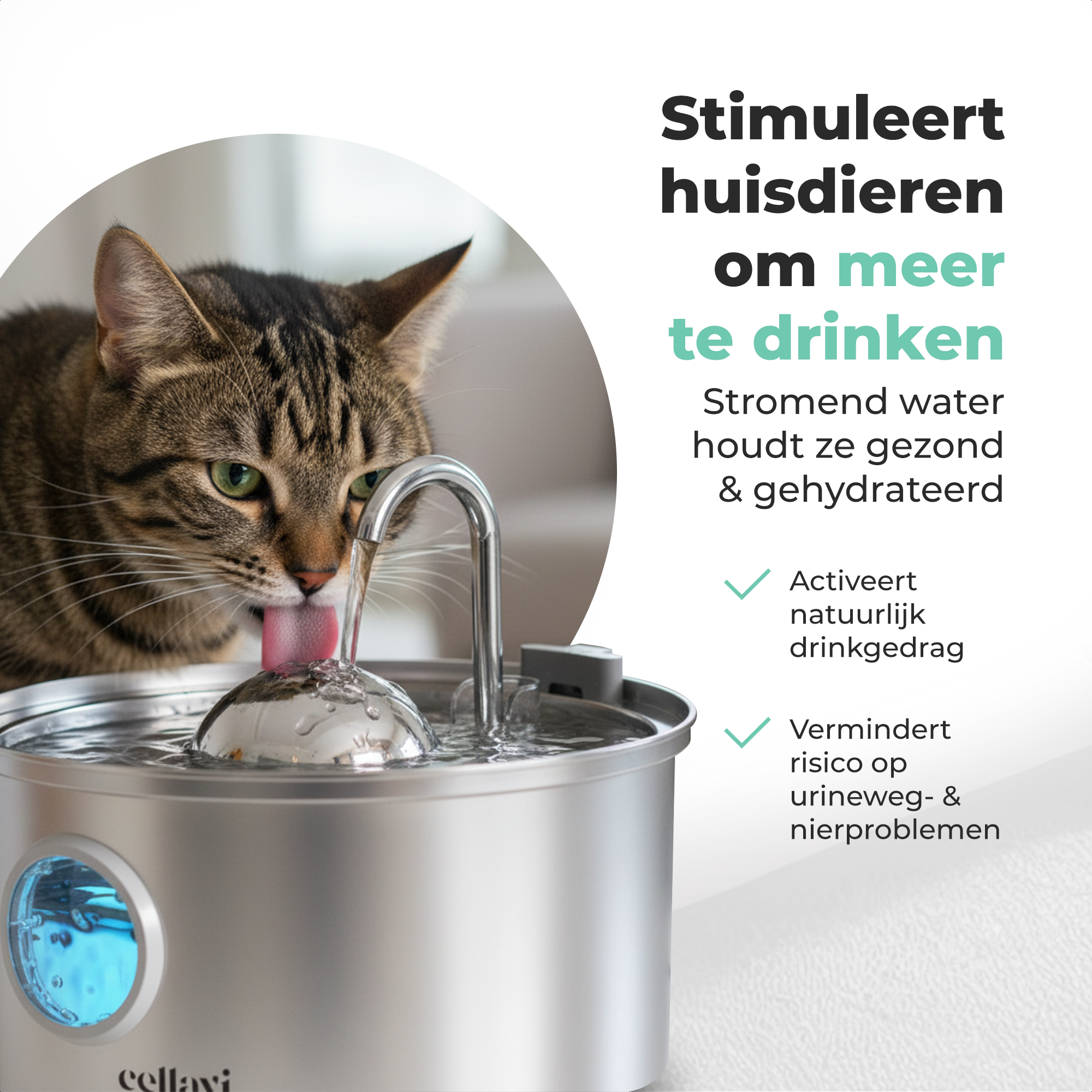 Cellavi RVS Drinkfontein R1X