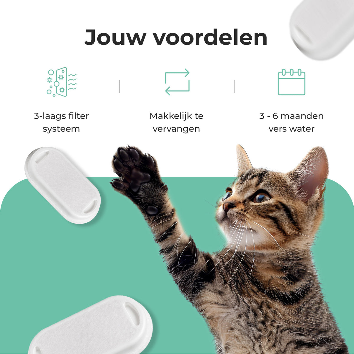 Cellavi Waterfilters Set voor Drinkfontein R2X - 6 Filters en 3 Sponsen