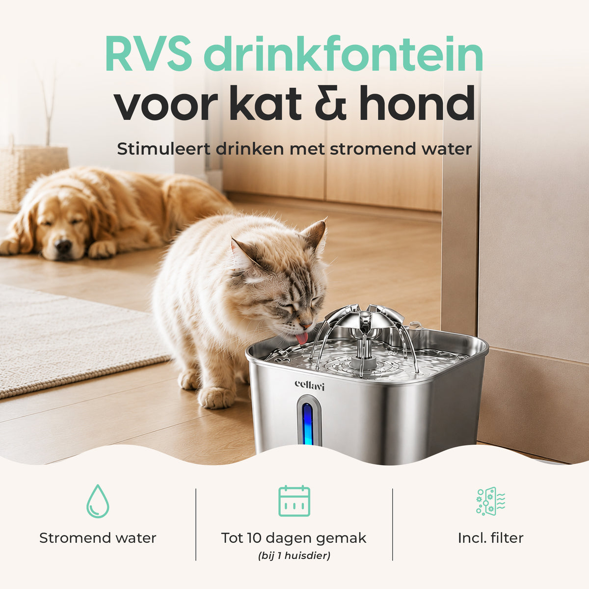 Cellavi RVS Drinkfontein R2X