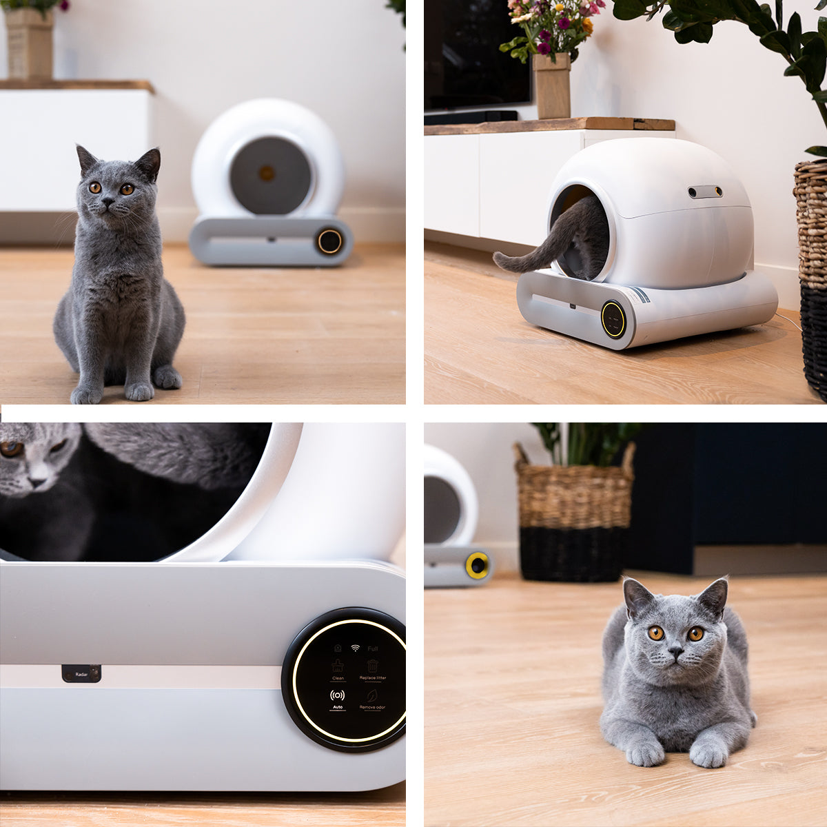 Cellavi Automatische Kattenbak VI-A