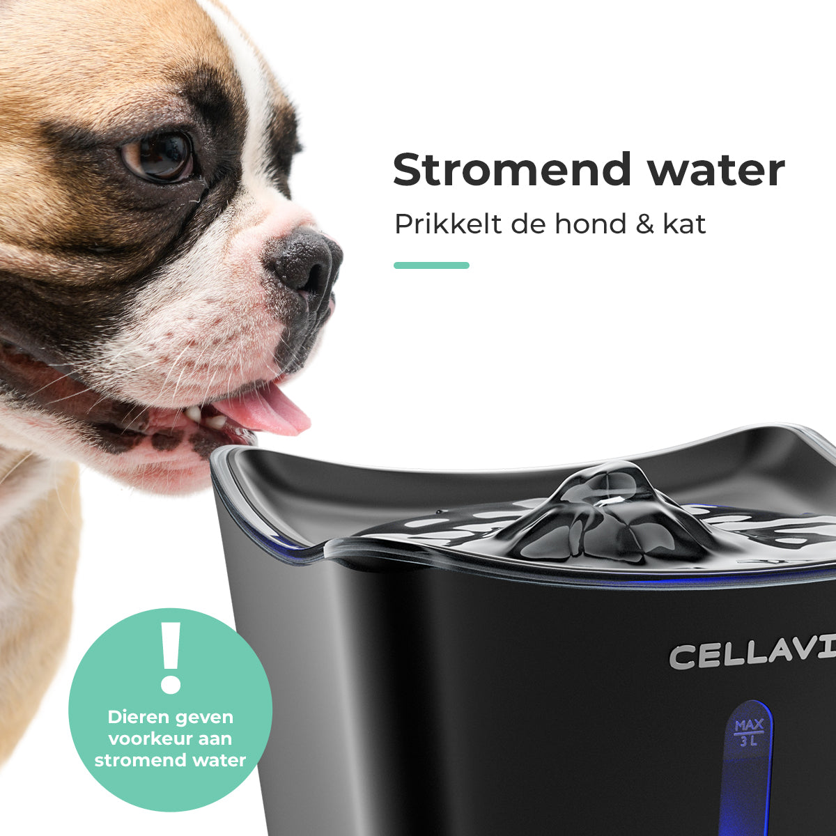 Cellavi Drinkfontein S1 - Zwart