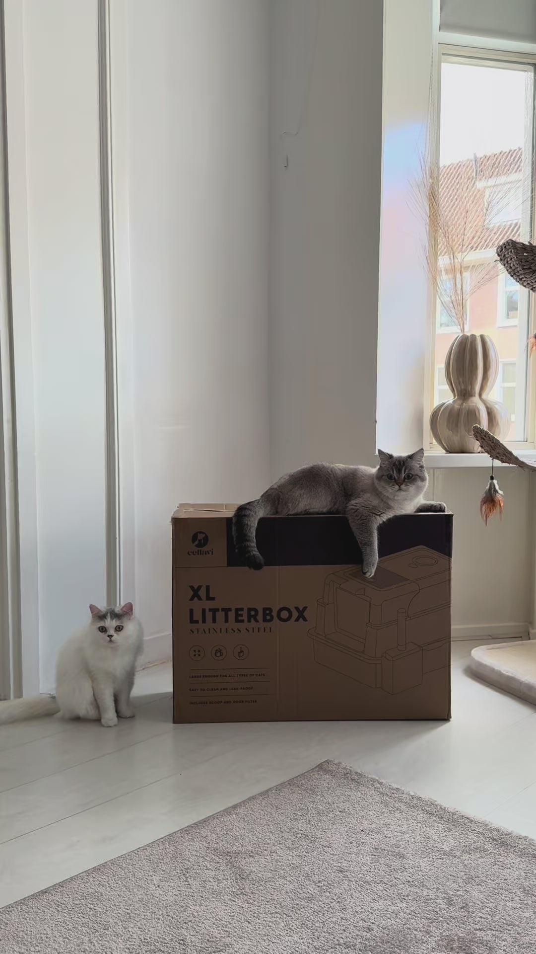 Cellavi RVS Kattenbak XXXL - Zwart
